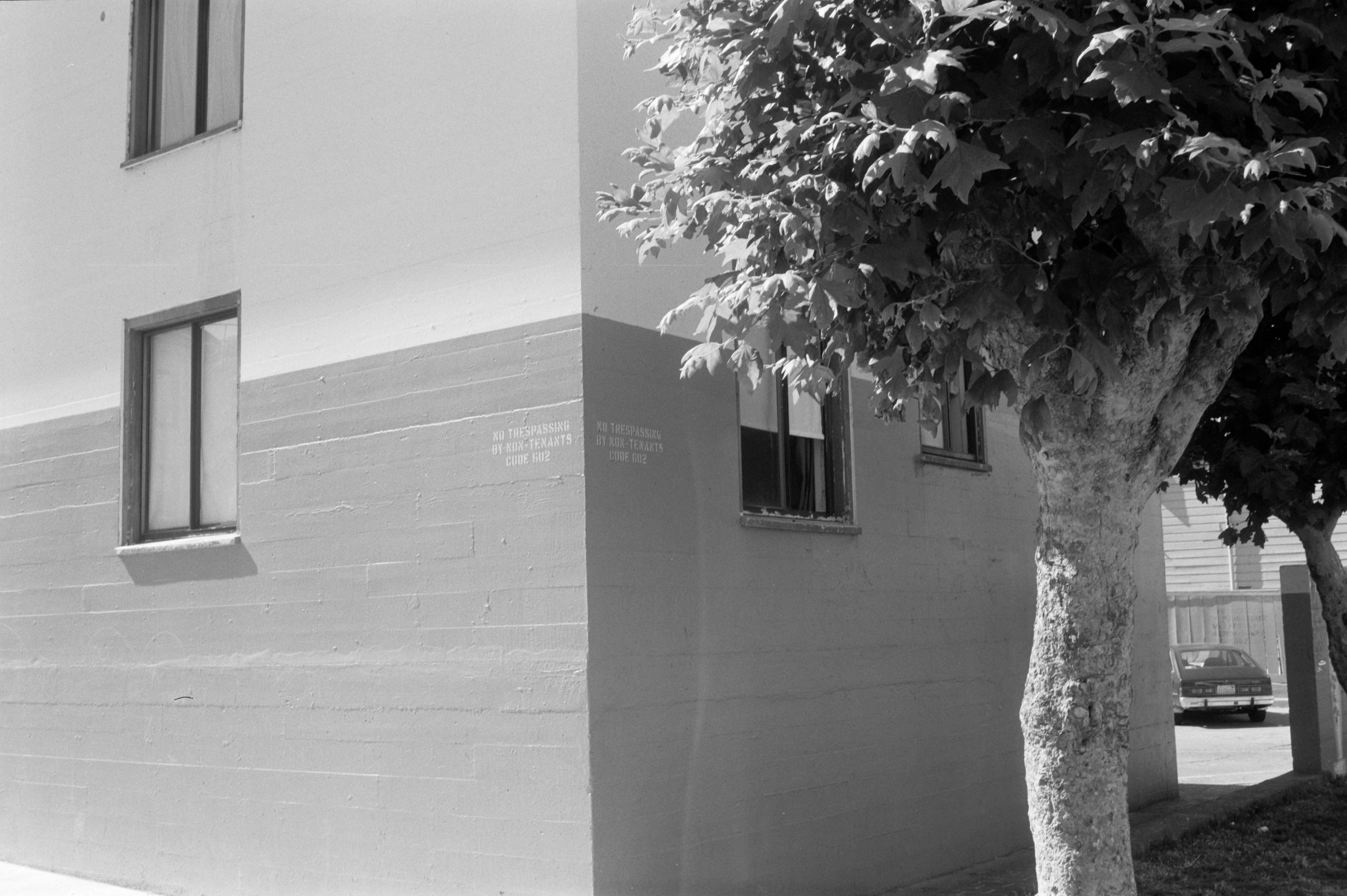 AHP FilmScan 240807 0405